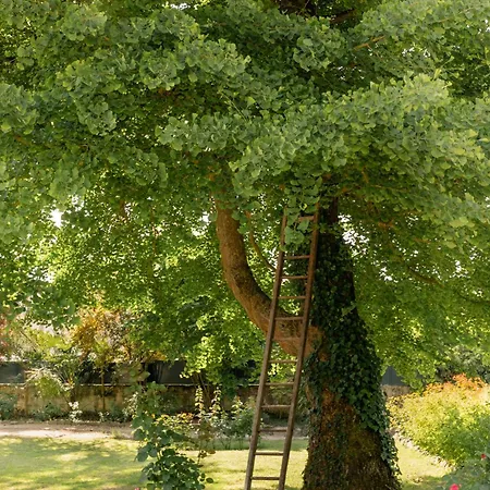 Gæstehus Saint Eusebe Gennes-Val-de-Loire
